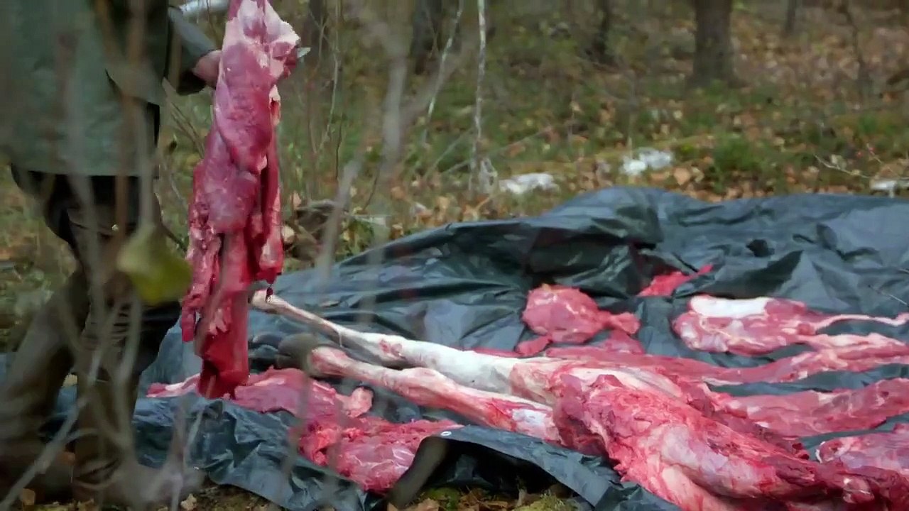 100 Days Wild - Se1 - Ep03 - Under House Arrest HD Watch HD Deutsch