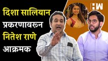 Disha Salian प्रकरणावरून Nitesh Rane आक्रमक, सभागृहात गोंधळ| Sushant Singh Rajput | Aditya Thackeray