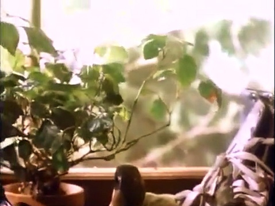 Coach - Se2 - Ep16 HD Watch HD Deutsch