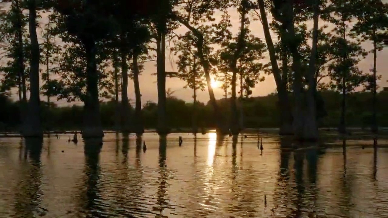 Dead by Dawn - Se1 - Ep04 - Swamp Things HD Watch HD Deutsch