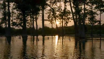 Dead by Dawn - Se1 - Ep04 - Swamp Things HD Watch HD Deutsch