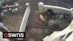 CCTV captures moment Christmas parcel was stolen minutes after Evri driver hid package under the wheelie bin