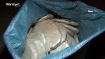 Kırgızistan ve Rusya'da uyuşturucu çetesine operasyon: 72 kilo madde ele geçirildi