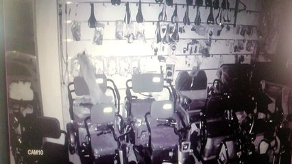 İş yeri sahipleri çalan alarmı kedi zannetti, tilki mağazayı savaş alanına çevirdi