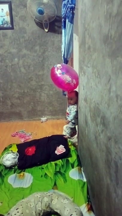 Kucing Lucu (22)