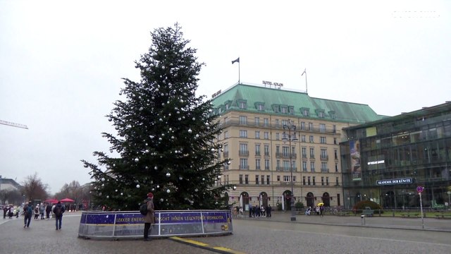 Главная рождественская ель Германии лишилась верхушки