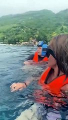 Des baigneurs paniquent en découvrant ce qu'il y a sous l'eau