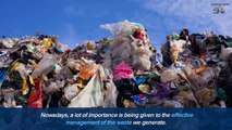 What are Some Common Recycling Mistakes People Make