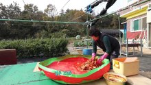 한국기행 - Korea travel_배낭 기행 4부- 섬마을 단짝_#001