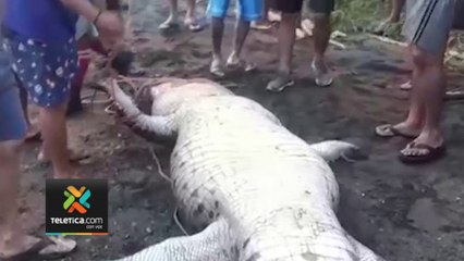 tn7-oij-confirma-que-restos-oseos-no-son-de-humano-221222