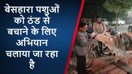 प्रतापगढ़: ठंड से बचाने के लिए बेजुबानों को इस संस्था नें पहनाई कोट, लोगों से की अपील