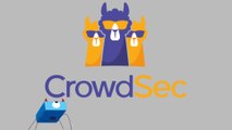 [TUT] CrowdSec - Kostenloses IPS-Tool [4K | DE]