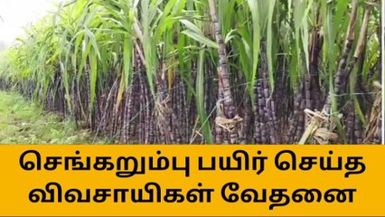அரசின் அறிக்கைக்காக காத்திருக்கும் விவசாயிகள்!
