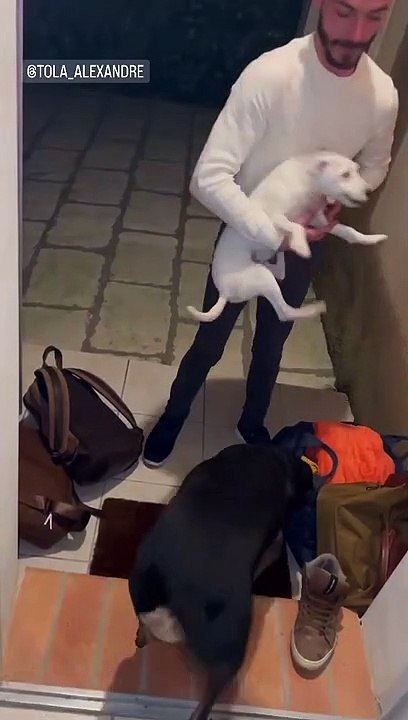 Alexandre pose ses valises chez Mathieu pour quelques jours.