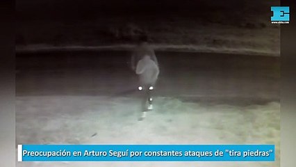 Preocupación en Arturo Seguí por constantes ataques de tira piedras