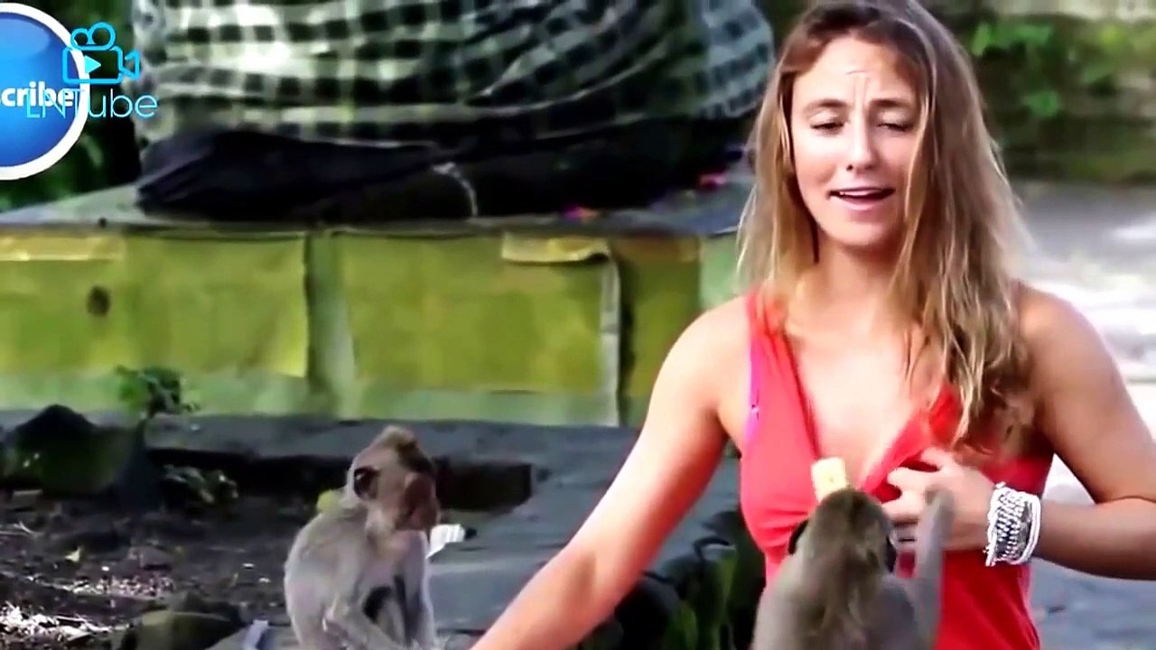 Animals attack- Amazing Monkey attack People craziest 2017