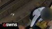 Heroic moment two NYPD officers save man after he fell onto subway tracks