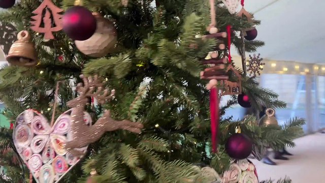 Best Christmas Trees and decorations