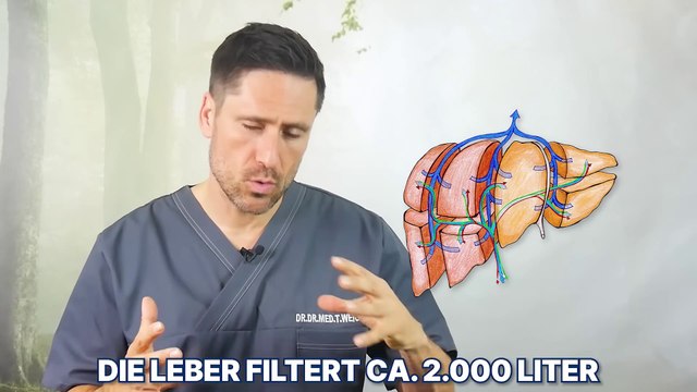 #Alkoholische #Getränke Achte auf diese Grenze! Folgen von zu viel #Alkohol für #Körper & #Gesundheit