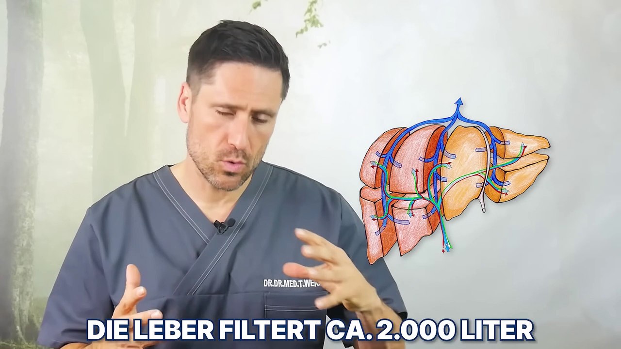 #Alkoholische #Getränke Achte auf diese Grenze! Folgen von zu viel #Alkohol für #Körper & #Gesundheit