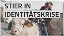 Aston: Ein Stier, der sich für ein Pferd hält