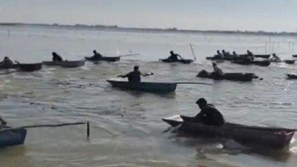 इंदौर : बनेडिया तालाब में दिखा अनोखा नजारा,600 नावों के साथ उतरे मछुआरे