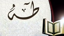 سورة طه جودة رائعه وصوت مريح للنفس مع القارئ اسلام منصور