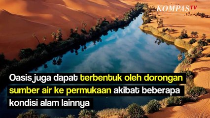 Mengenal Oasis Terbesar di Dunia, Bagaimana Cara Terbentuknya?