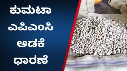 ಕುಮಟಾ: ಎಪಿಎಂಸಿ ಮಾರುಕಟ್ಟೆಯಲ್ಲಿ ಅಡಕೆ ಧಾರಣೆ ಹೇಗಿದೆ ನೋಡಿ..