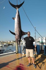 393-Pound Swordfish Breaks Maryland Record