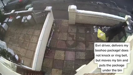 CCTV catches 'grinch' stealing Christmas Evri parcel