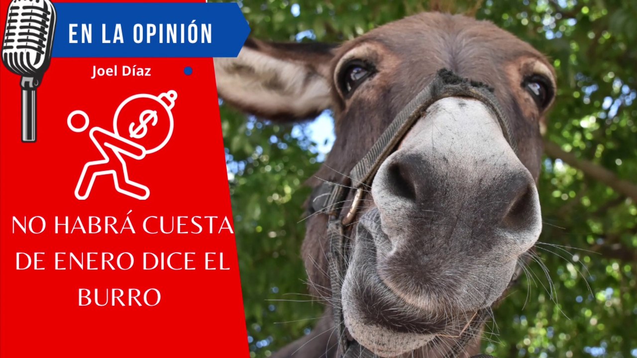 No Habrá Cuesta de Enero dice el Burro