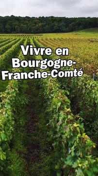 Vivre en Bourgogne-Franche-Comté ? Les budgets à prévoir pour acheter ou louer dans les villes les plus recherchées