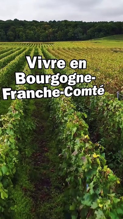 Vivre en Bourgogne-Franche-Comté ? Les budgets à prévoir pour acheter ou louer dans les villes les plus recherchées