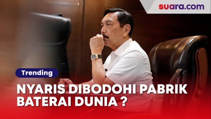 Nyaris Dibodohi Pabrik Baterai Dunia, Luhut: Dia Pikir Indonesia Masih Seperti 8 Tahun Lalu