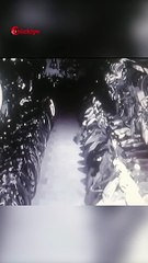 Kedi Zannettiler Tilki Çıktı! Mağaza Savaş Alanına Döndü! #shorts