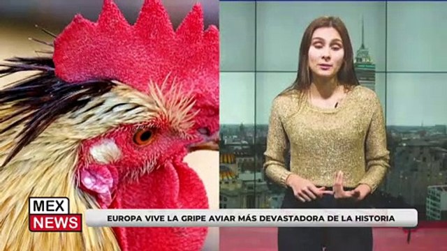 TALIBANES PROHÍBEN A LAS MUJERES ACCEDER A LA UNIVERSIDAD