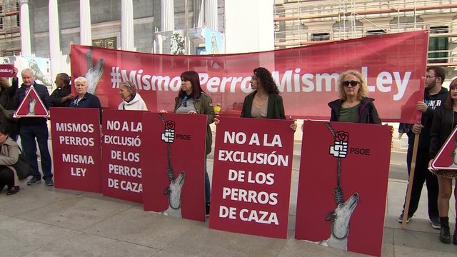 El PSOE logra excluir a los perros de caza y también a los cetáceos de la ley de bienestar animal