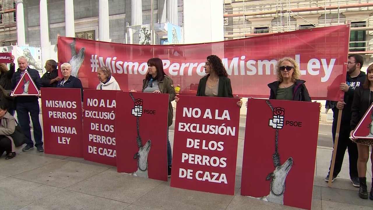 El PSOE logra excluir a los perros de caza y también a los cetáceos de la ley de bienestar animal