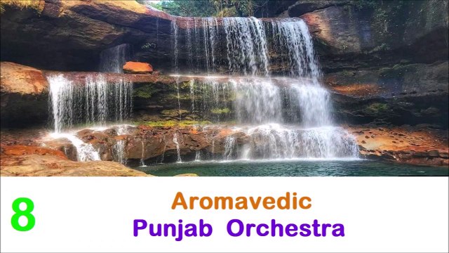 Musique instrumentale indienne relaxante