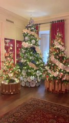 Inside FLOTUS Jill Biden's Stunning China Room Decorations 🇺🇸