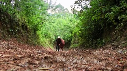 The Long Rider Bande-annonce (EN)