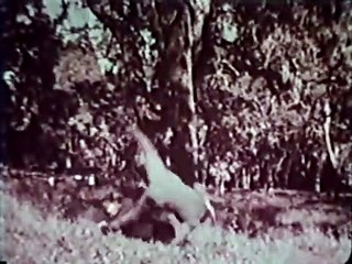 Chandler Bande-annonce (EN)