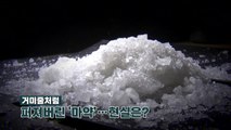[뉴스라이브] 영화 속 거미줄처럼 퍼진 '마약'...현실은? / YTN