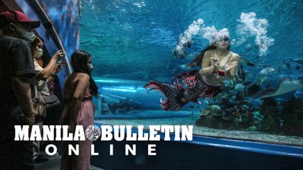 Mermaid wearing a Santa costume graces the visitors of Manila Ocean Park