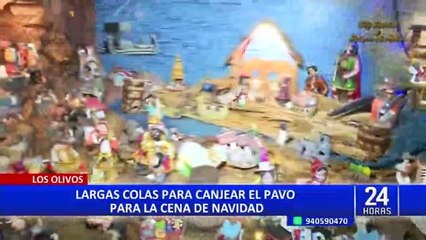 Cena navideña: cerdo empieza a escasear en punto de recojo de Los Olivos