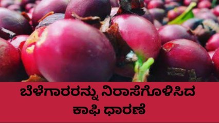 ಕೊಡಗು: ಇಳಿಕೆಯಾದ ಕಾಫಿ ಬೆಳೆ; ಎಷ್ಟಿದೆ ಇಂದು ಮಾರುಕಟ್ಟೆ ರೇಟ್..?