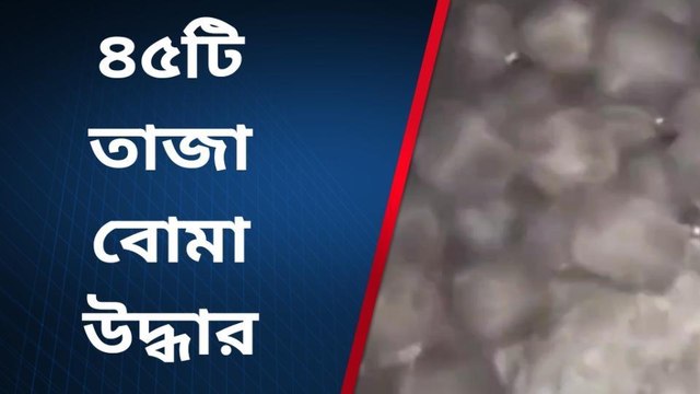 দঃ ২৪ পরগনা: ৪৫টি তাজা বোমা উদ্ধার, চাঞ্চল্য এলাকায়