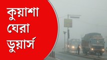 ঘন কুয়াশার চাদরে ঢাকল  ডুয়ার্স