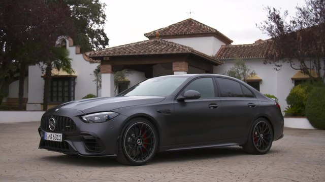 Der Mercedes-AMG C 63 S E PERFORMANCE - AMG Performance-Lenkrad im Doppelspeichen-Design